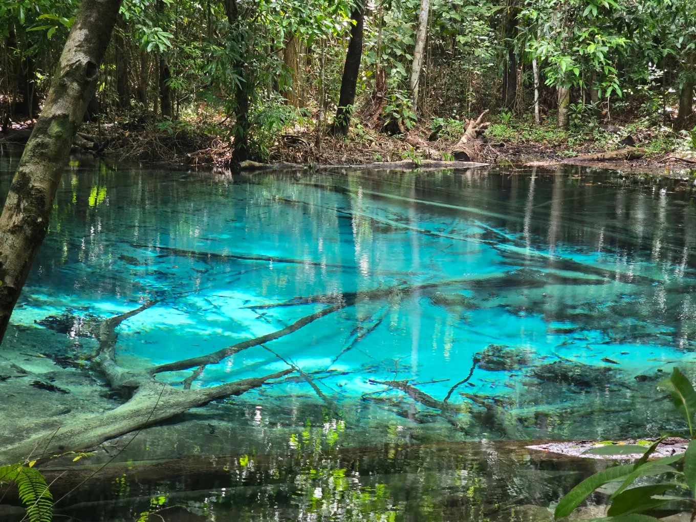 Emerald Pool