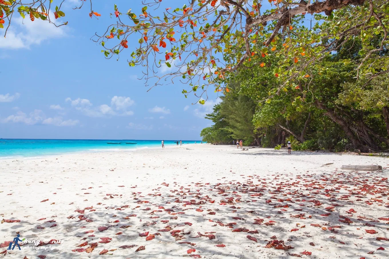 Tachai Island